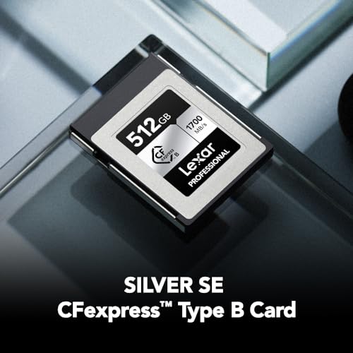 Image of Lexar 512GB Professional Silver SE CFexpress Type B Memory Card, for Photographers, Videographers, Up to 1700 /1250 MB /s, 8K Video (LCXEXSE512G-RNENU)