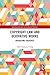 Copyright Law and Derivative Works (Routledge Research in Intellectual Property)