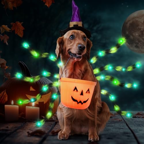 Disfraz para perro Araña con luces LED para Halloween miniatura 6