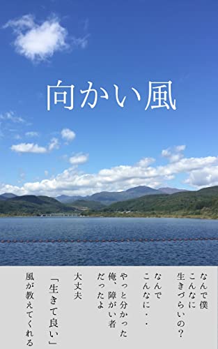 Amazon Co Jp 向かい風 Ebook りょーちん Kindleストア