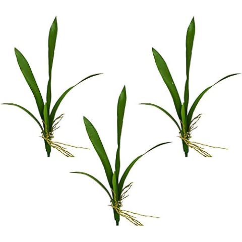Develoo Artificial Cymbidium Foliage, 20in PU Orchid Leaves Greenery 7 Forks Leaf Branches for DIY Floral Arrangement,Bonsai Wedding Home Decor Cover