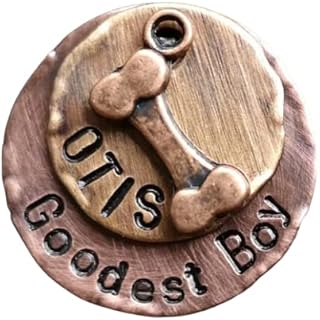 Dog Tag for Dogs, Pet ID Tag, Goodest Boy Tag, Pet Tag, Dog Tag, Quote Dog Tag, Dog Tags, Hand Stamped Tags, Pet Tag, Cat Tag (1")
