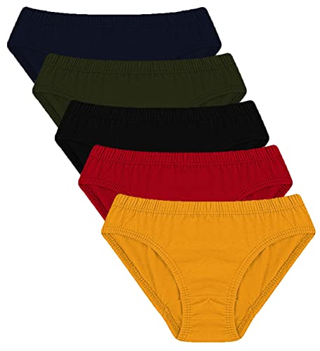 Image of THE BLAZZE 3140 Women's Cotton Panties Hipsters Briefs Underwear Panty for Women