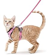 Amazon | Rabbitgoo 猫用 ハーネス リードセット 犬猫兼用 超小型犬