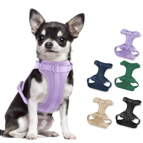 No Pull Lightweight Dog Harness: Adjustable Durable Breathable Mesh Pet Vest Harness with Soft & Comfortable Cushion, for Small Medium Large Dogs (Lilac, XS)