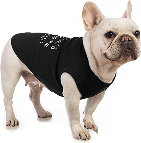 Etichette Indirizzi Personalizzate Con Labrador E Cuccioli - Premium Labels