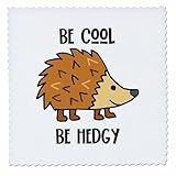 3dRose Cute Funny Be Cool Be Hedgy Pun with Hedgehog Wearing Sneakers - Quilt Squares (qs-385056-4)