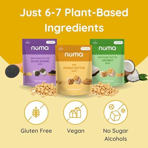 Mini Peanut Butter Bars Variety Pack – Vegan, High Protein, Low Sugar, Low Calorie, All Natural, Gluten Free – Crunchy Plant Based Snack – 3 Bags with 10 Individually Wrapped Pieces