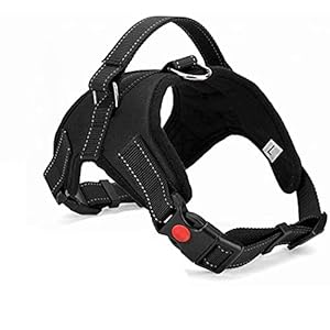 WapaW Cats Dog Harness No Pull With Handle, Reflective Adjustable Vest Harness For Puppy Dog & Cats (Large) – Black