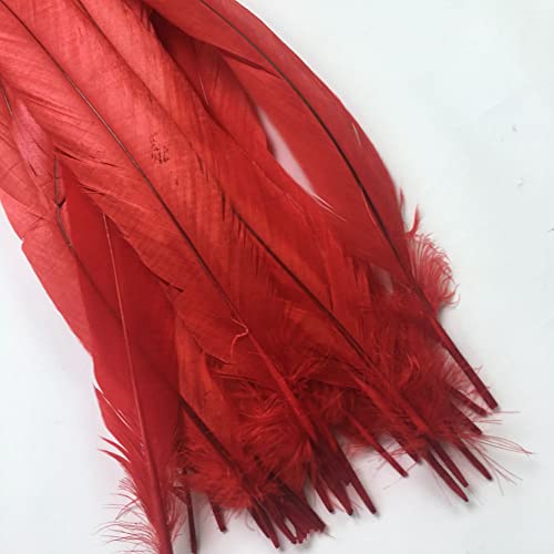 Sowder Red Rooster Coque Tail Feathers 16-18inch Lengh Pack of 20 - Image 3
