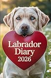 yellow labrador puppy  Yellow Labrador Diary: Labrador Retriever Diary, Yellow Labrador, Labrador Gift