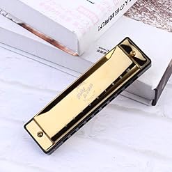 FARUTA Harmonica professionnel 10 trous Blues Harmonica bouche Orgue pour débutants adultes enfants Cadeau noir (couleur… - Les Beatles, Paul McCartney, John Lennon, RIngo Starr, George Harrison FARUTA Harmonica professionnel 10 trous Blues Harmonica bouche Orgue pour débutants adultes enfants Cadeau noir (couleur… – Image 6