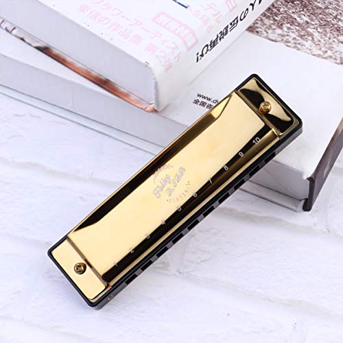 FARUTA Harmonica professionnel 10 trous Blues Harmonica bouche Orgue pour débutants adultes enfants Cadeau noir (couleur… - Les Beatles, Paul McCartney, John Lennon, RIngo Starr, George Harrison FARUTA Harmonica professionnel 10 trous Blues Harmonica bouche Orgue pour débutants adultes enfants Cadeau noir (couleur… – Image 7