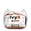 Ivy X Pre