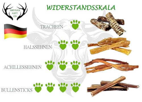 ARTISAN GIFT CO Ochsenziemer für Hunde - 100% Trockenfleisch Hundeleckerlis, geeignet für die Barf-Diät - Bullensticks für Hunde - (30cm) - Sparpaket 5 st.
