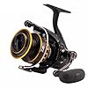 Daiwa BG2500 BG Saltwater Spinning Reel, 2500, 5.6: 1 Gear Ratio, 6+1 Bearings, 33.20 Retrieve Rate, 13.20 lb Max Drag,Black/gold