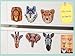 M MORCART Wild Animal Magnets for Refrigerator Fridge Magnets Fun Decoration Kitchen Office Whiteboards for Kids Boys and Adult 6 Pcs(African Animals)