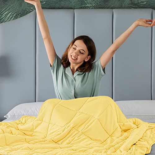 CYMULA Weighted Blanket for Adults (15lbs 48"x72" Twin Size) - Cooling Breathable Heavy Blankets for Summer Winter - Ultra Microfiber Soft Comfort Throw with Glass Beads - Gifts for Men/Women