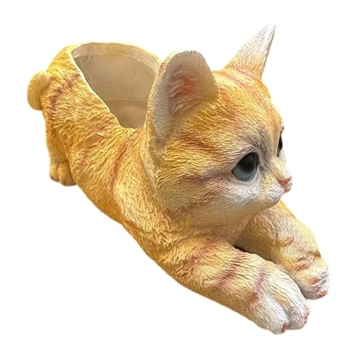 B Baosity �L�̌`���������j�[�N�Ȏ����������t�B�M���A�I�[�i�����g�A�����A��A���ւȂǂɏ���܂�, ���F