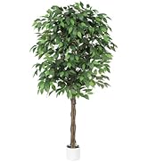 Amazon｜LYERSE フェイクオリーブの木 150cm 大樹冠タイプ 観葉樹