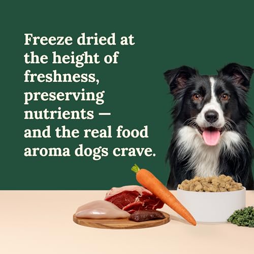 360 Pet Nutrition Freeze-Dried Raw Dog Food – Multi-Protein with Beef, Chicken, Fish, Liver & Organs, High Protein, Omega-3s, Fruits, Veggies & Superfoods, Grain-Free, No Fillers, 1 lb – Made in USA — view 6