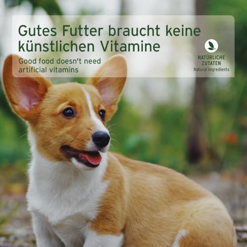 AniForte Hundefutter Nass Junior Rind 6 x 400g – Natürliches Nassfutter für Welpen, Junghunde im Wachstum, hoher Fleischanteil, Premium Welpennassfutter getreidefrei