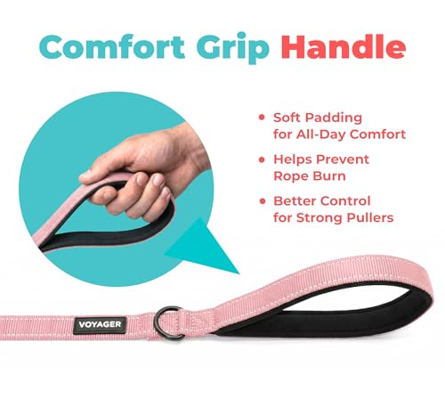 Image of Best Pet Supplies Voyager Reflective Dog Leash or Collar with Neoprene Handle, for Small, Medium, and Large Breed Puppies, Cute and Heavy Duty for Walking, Running and Training - Pink (Leash), S