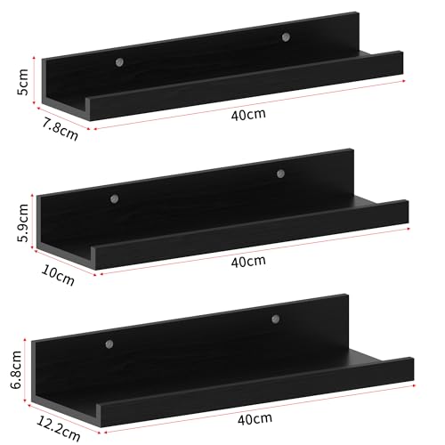 Bilderleiste EXYGLO 40 cm Wandregal Schwarz im rustikalen Design