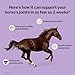 Formula 707 Joint 6in1 Equine Supplement, Daily Fresh Packs – Support for Joint Integrity and Inflammatory Response in Horses – Green-Lipped Mussel, MSM, Glucosamine, Chondroitin & Collagen