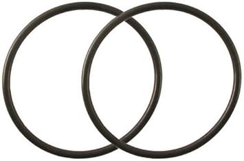 TWO 0-RING FOR BIG BLUE HOUSINGS 10"