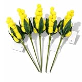 C.X.Y. 5 Pezzi Rametto di Mimosa Artificiale 18 cm – Fiore Giallo Decorativo con Foglie Ve...