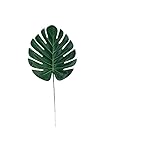 SIN MANTENIMIENTO: ¿Siempre te olvidas de regar tus hermosas plantas? ¿Cansado de las plantas muertas? No necesita riego diario ni cuidados especiales, no se mueren ni se marchitan.
