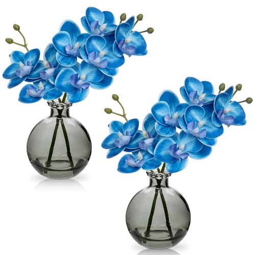 2 pcs Künstliche Orchideen Blau mit Schwarz Glasvase, Kunstpflanze Decor...