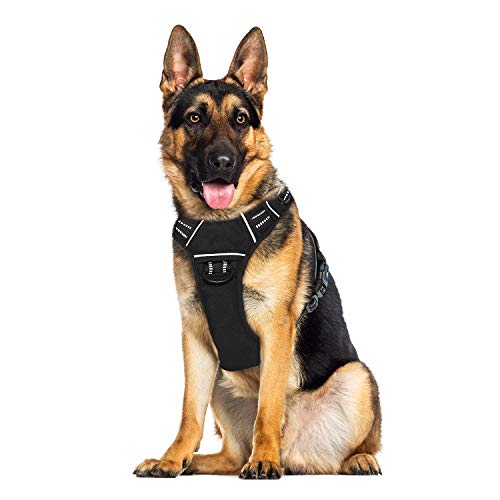 WALKTOFINE Dog Harness No Pull Reflective, Comfortable Harness with Handle,Fully Adjustable Pet Leash