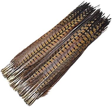 25-70CM 10-28"Natural Pheasant Feathers for Crafts Hair Extension Centerpieces Decoration Plumes Indian Headdress - 10 Pcs - Zamihalaa