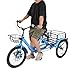 KAPIPALA Triciclo de 7 velocidades para adultos, 20 pulgadas, plegable, para adultos, personas mayores, mujeres y hombres, bicicleta de carga de 3 ruedas con cesta de la compra, capacidad de carga de