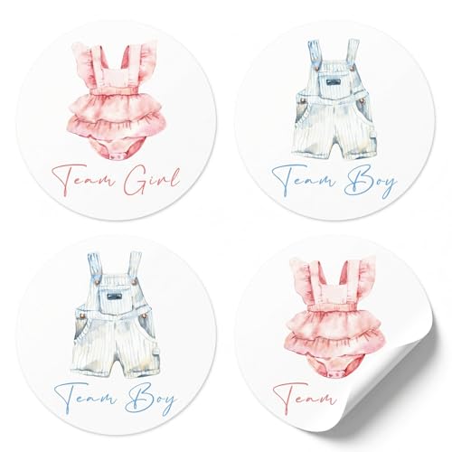 100pcs Clothes Gender Reveal Stickers 2 Clothes Gender Reveal Decorations Clothes Baby Shower Gender Reveal Party Supplies
