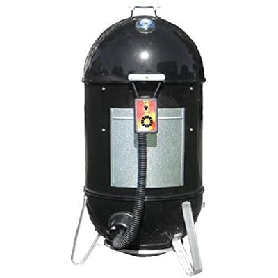 pitmaster iq weber smokey mountain