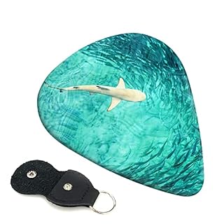 ASDTEHCY Lot de 6 médiators en celluloïd, pour guitare électrique, basse ou ukulélé - Les Beatles, Paul McCartney, John Lennon, RIngo Starr, George Harrison