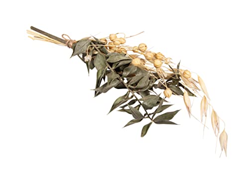 Rayher Dried Flowers and Plants for Crafts Dried Flower Bouquet for Crafting and Home Décor, Dried Natural Flowers with Stem - Image 2