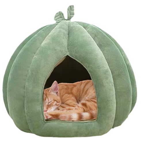 Letto per gatti, letti per gatti per indoor, Letto per chiuso Casa per, Grotta per, cuccia per animali di Halloween ispessita, rifugio per per gattini, cani di