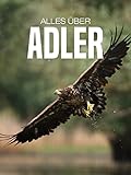  Alles über Adler