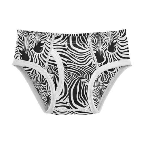 Boys' Exclusive Briefs Toddler Underwear 95% Combed Cotton Boxerbriefs 2T Zebra Stripes Pattern 36