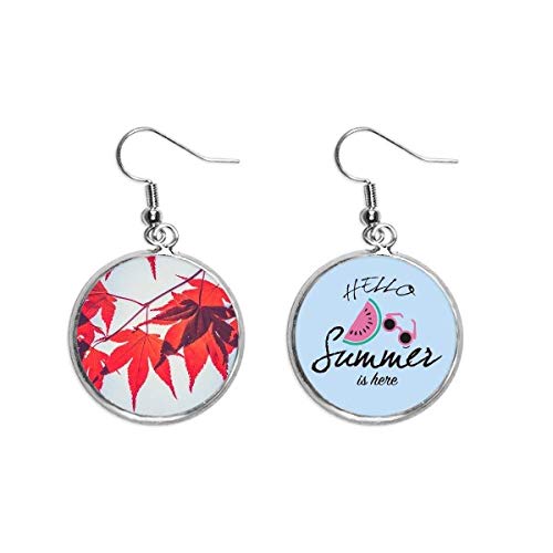 Pendientes de sandía el regalo de verano ideal para amantes de la naturaleza