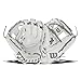 Wilson A2000 Ice DP15 11.5