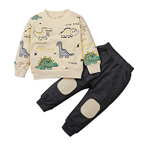 amropi Garçon Ensemble de Survêtement Dinosaure Imprimé Sweatshirt et Jogging Pantalons Gris Noir, 1-2 Jahre