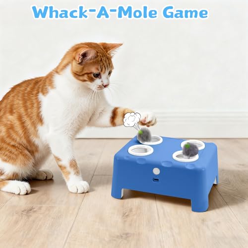 PETSWEET-Cheese-Box-Interactive-Cat-Toy-for-Kitten