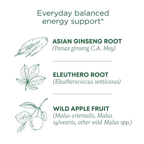 Traditional Medicinals 0032917008367 Tea, Organic Stress Ease Focus thumb #1