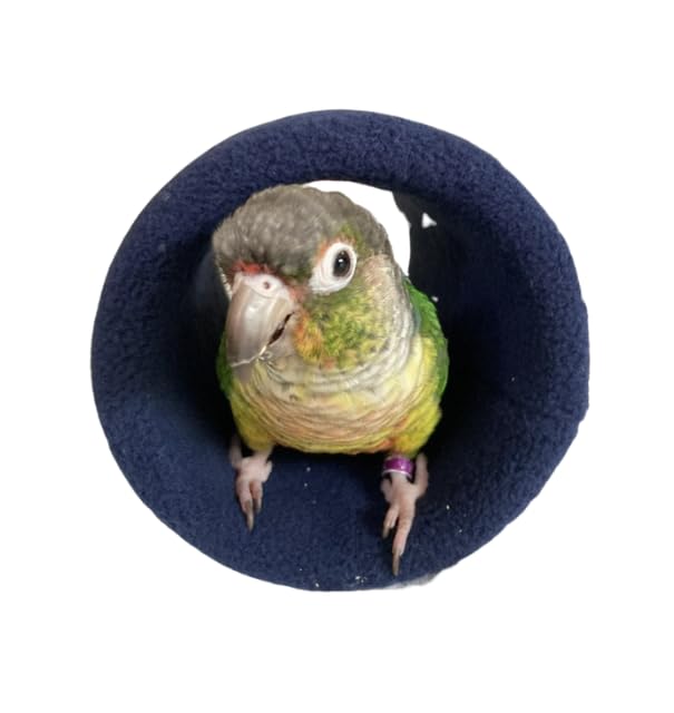 Comfy Handmade Navy Fleece Lined Bird Hut, Parrot Tent