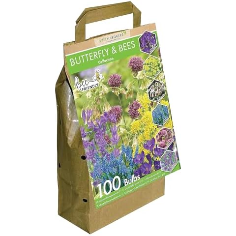 Bees & Butterflies Bulbs Collection by GreenBrokers Cover